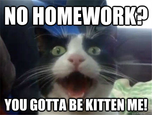 No HomeWork? You gotta be kitten me!  Amazed Cat