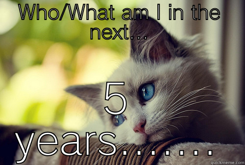 What is ahead - WHO/WHAT AM I IN THE NEXT... 5 YEARS....... First World Problems Cat