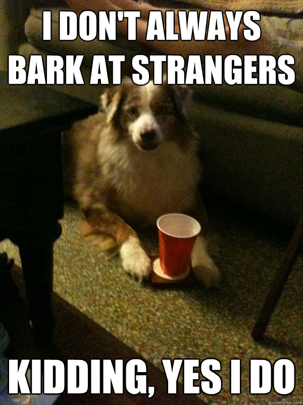 I don't always bark at strangers Kidding, yes i do  Drink Dog