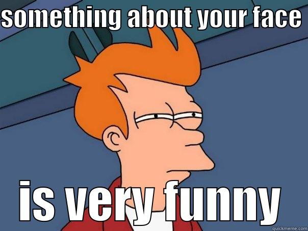 SOMETHING ABOUT YOUR FACE IS VERY FUNNY Futurama Fry
