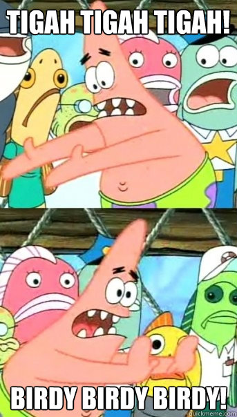 TIGAh TIGAh TIGAh! Birdy birdy birdy!  Push it somewhere else Patrick