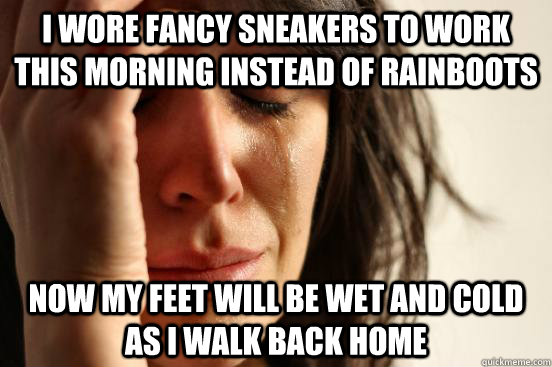 I wore fancy sneakers to work this morning instead of rainboots now my feet will be wet and cold as I walk back home   First World Problems