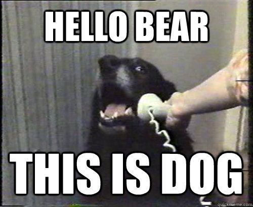 Hello bear this is dog  This is dog