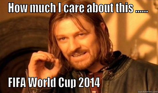 HOW MUCH I CARE ABOUT THIS ...... FIFA WORLD CUP 2014                         Boromir