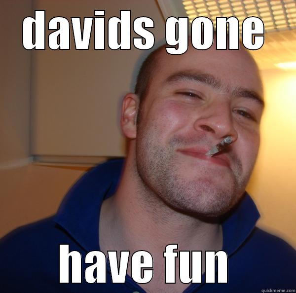 DAVIDS GONE HAVE FUN Good Guy Greg 