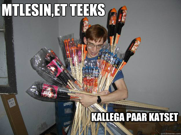 MÕTLESIN,ET TEEKS  KALLEGA PAAR KATSET  Crazy Fireworks Nerd