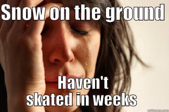 SNOW ON THE GROUND  HAVEN'T SKATED IN WEEKS  First World Problems