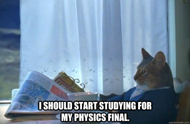 I should start studying for my physics final.  Sophisticated Cat