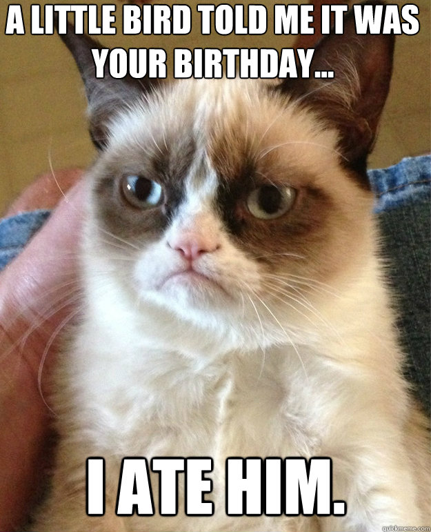 A LITTLE BIRD TOLD ME IT WAS YOUR BIRTHDAY... I ATE HIM. - A LITTLE BIRD TOLD ME IT WAS YOUR BIRTHDAY... I ATE HIM.  grumpy cat birthday