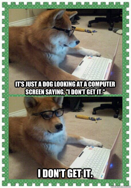 It's just a dog looking at a computer screen saying, 