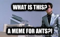 what is this? A meme for ants?! - what is this? A meme for ants?!  Angry Zoolander
