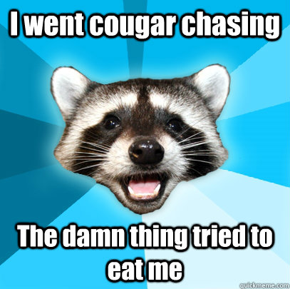 I went cougar chasing The damn thing tried to eat me  Lame Pun Coon