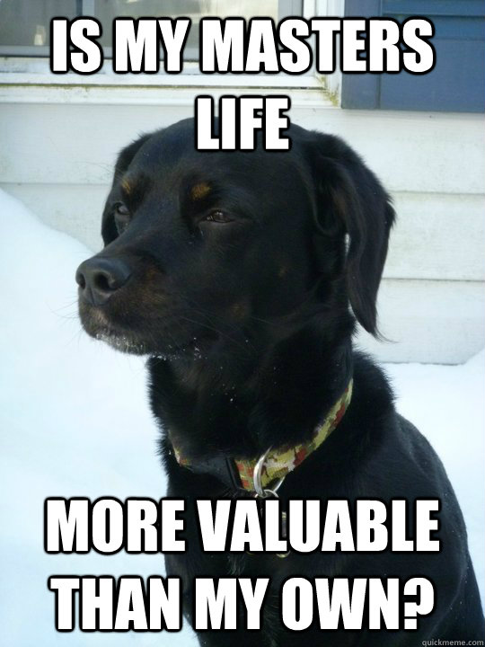 Is my masters life  more valuable than my own?  Philosophical Puppy