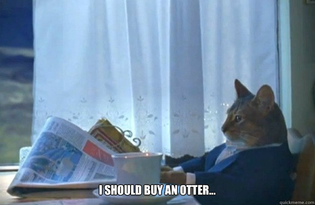  I should buy an otter...  Sophisticated Cat