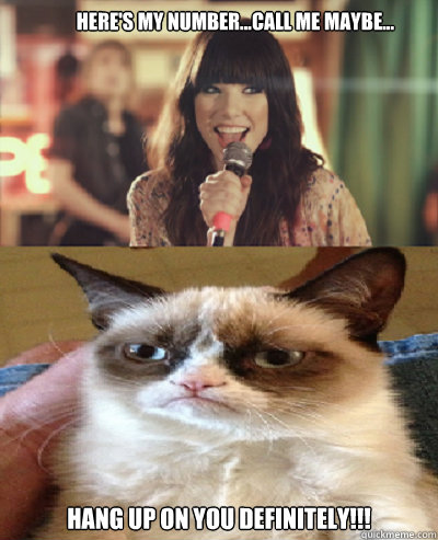 Here's my number...call me maybe... Hang up on you Definitely!!! - Here's my number...call me maybe... Hang up on you Definitely!!!  Carly Rae Jepsen meets Tard the Grumpy Cat