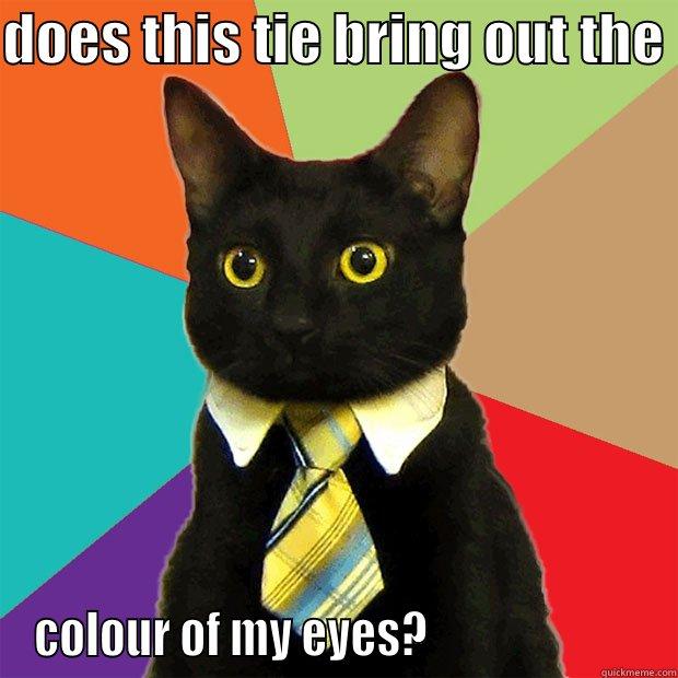 DOES THIS TIE BRING OUT THE  COLOUR OF MY EYES?                        Business Cat