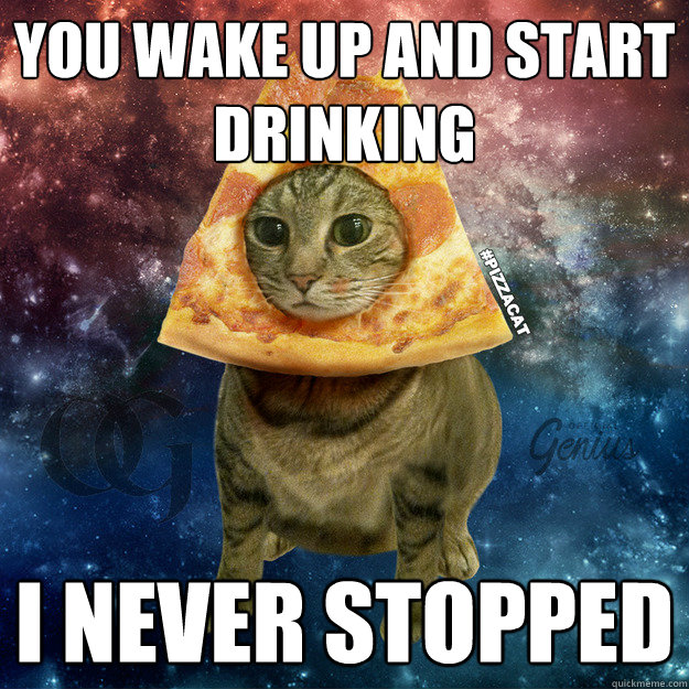 You wake up and start drinking I Never Stopped - You wake up and start drinking I Never Stopped  PIZZACAT