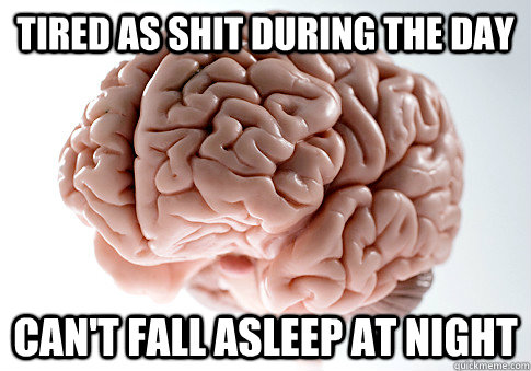 tired as shit during the day can't fall asleep at night  Scumbag Brain