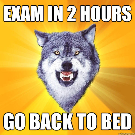 Exam in 2 Hours Go back to bed - Exam in 2 Hours Go back to bed  Courage Wolf