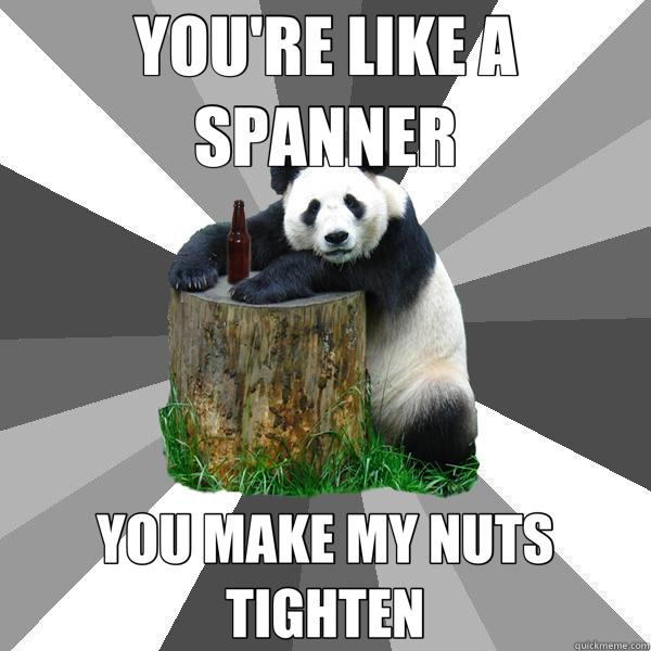 YOU'RE LIKE A SPANNER YOU MAKE MY NUTS TIGHTEN - YOU'RE LIKE A SPANNER YOU MAKE MY NUTS TIGHTEN  Pickup-Line Panda