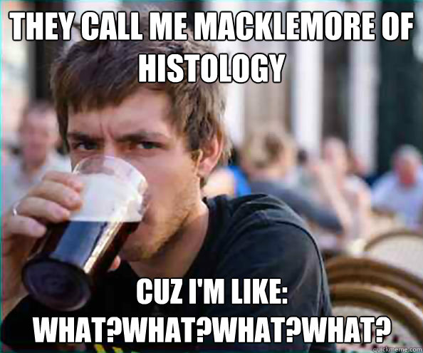 They call me Macklemore of Histology Cuz I'm like: WHAT?What?what?what?  Lazy College Senior