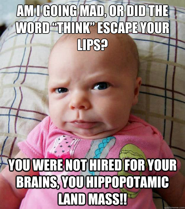 Am I going MAD, or did the word “think” escape your lips? You were not hired for your brains, you hippopotamic land mass!!  