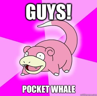 Guys!  Pocket whale  Slowpoke