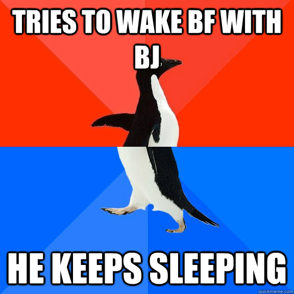 tries to wake bf with bj he keeps sleeping  Socially Awesome Awkward Penguin