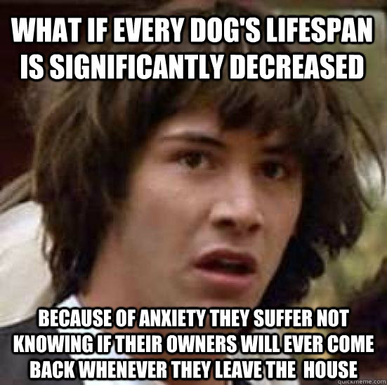 What if every dog's lifespan is significantly decreased because of anxiety they suffer not knowing if their owners will ever come back whenever they leave the  house  conspiracy keanu