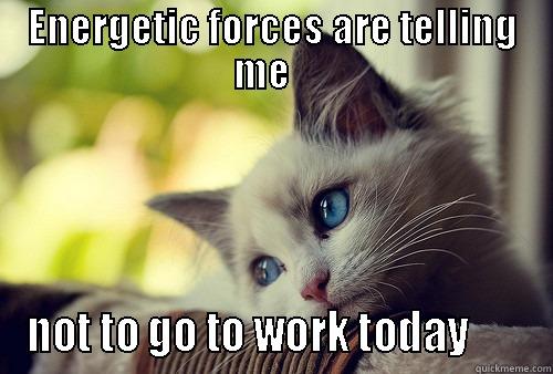 ENERGETIC FORCES ARE TELLING ME    NOT TO GO TO WORK TODAY       First World Problems Cat