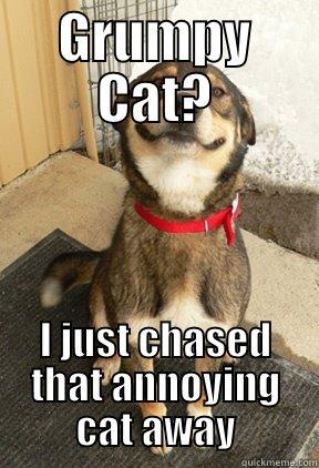 GRUMPY CAT? I JUST CHASED THAT ANNOYING CAT AWAY Good Dog Greg