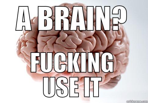 A BRAIN? FUCKING USE IT Scumbag Brain