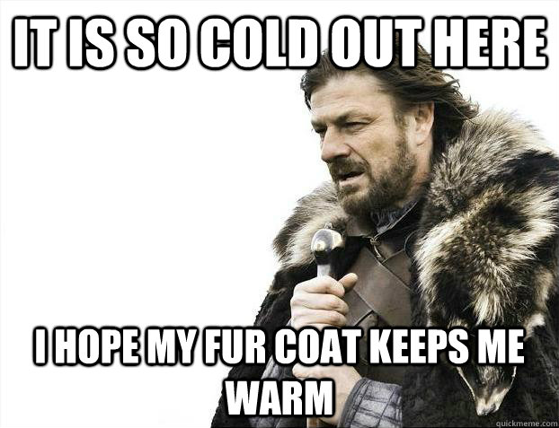 It is so cold out here I hope my fur coat keeps me warm - It is so cold out here I hope my fur coat keeps me warm  Brace Yourselves - Borimir