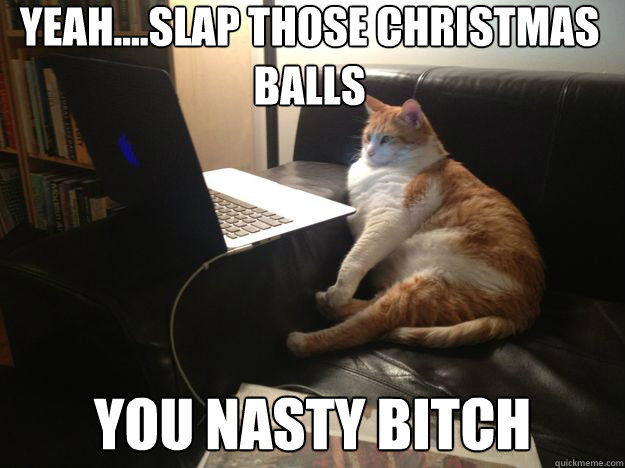 yeah....slap those christmas balls you nasty bitch  vicarious cat