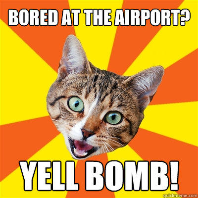 Bored at the airport? Yell bomb! - Bored at the airport? Yell bomb!  Bad Advice Cat