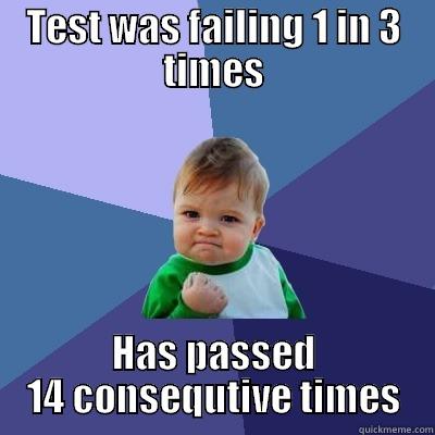 TEST WAS FAILING 1 IN 3 TIMES HAS PASSED 14 CONSECUTIVE TIMES Success Kid