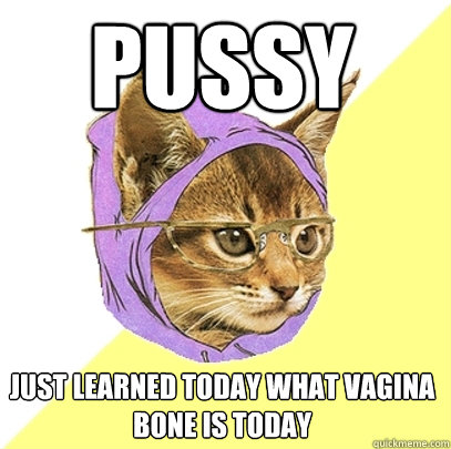 pussy just learned today what vagina bone is today  Hipster Kitty