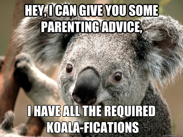 Hey, I can give you some parenting advice, I have all the required
 koala-fications  