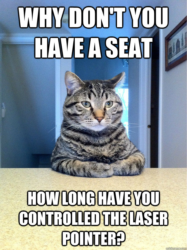 Why don't you have a seat how long have you controlled the laser pointer?  Chris Hansen Cat