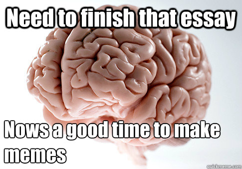 Need to finish that essay  Nows a good time to make 
memes   Scumbag Brain