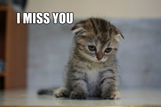 I miss you   Sad Kitten