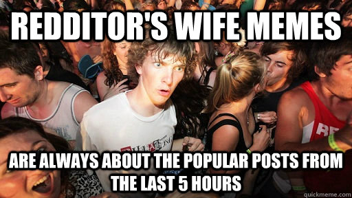Redditor's wife memes are always about the popular posts from the last 5 hours  Sudden Clarity Clarence