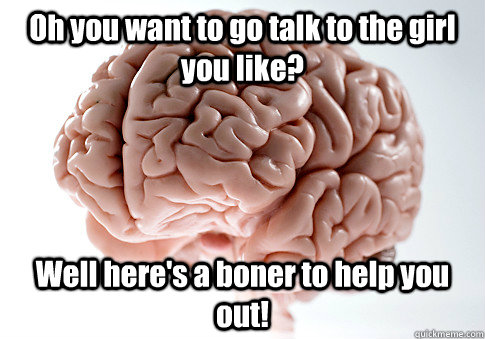 Oh you want to go talk to the girl you like? Well here's a boner to help you out!   Scumbag Brain
