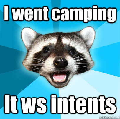 I went camping It ws intents  Lame Pun Coon