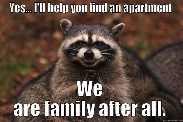 YES... I'LL HELP YOU FIND AN APARTMENT WE ARE FAMILY AFTER ALL. Evil Plotting Raccoon
