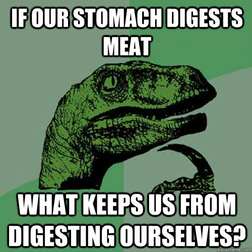If our stomach digests meat What keeps us from digesting ourselves?  Philosoraptor