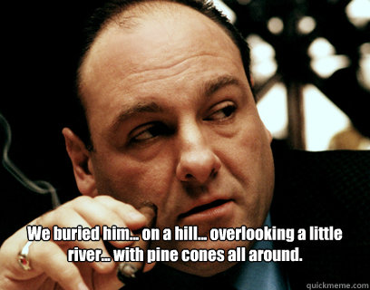 We buried him... on a hill... overlooking a little river... with pine cones all around.

  Tony Soprano