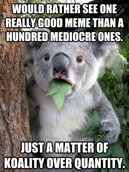 Would rather see one really good meme than a hundred mediocre ones. just a matter of Koality over quantity. - Would rather see one really good meme than a hundred mediocre ones. just a matter of Koality over quantity.  koala bear