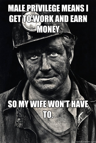 Male privilege means I get to work and earn money so my wife won't have to.  