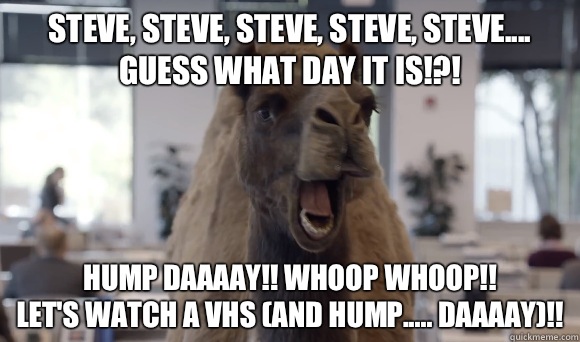 Steve, Steve, Steve, Steve, Steve....
Guess what day it is!?! Hump Daaaay!! Whoop Whoop!!
Let's watch a VHS (and Hump..... Daaaay)!! - Steve, Steve, Steve, Steve, Steve....
Guess what day it is!?! Hump Daaaay!! Whoop Whoop!!
Let's watch a VHS (and Hump..... Daaaay)!!  Hump Day Camel